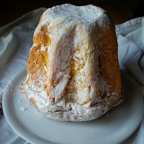 pandoro.png