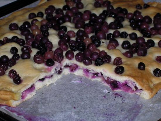 schiacciata con uva.jpg