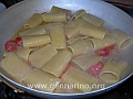 paccheri alla gallinella