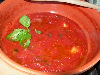 salsa di pomodoro al basilico