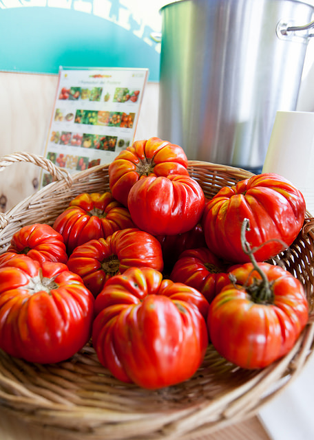 pomodoro riccio di Parma