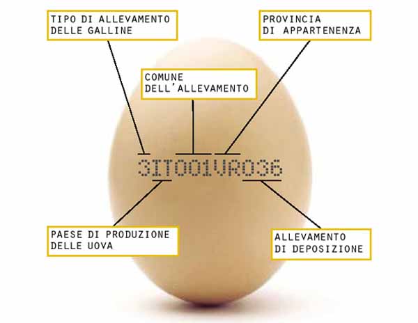 Tracciabilità delle uova