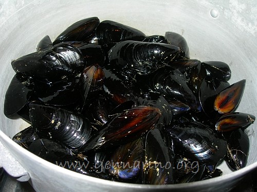 impepata di cozze