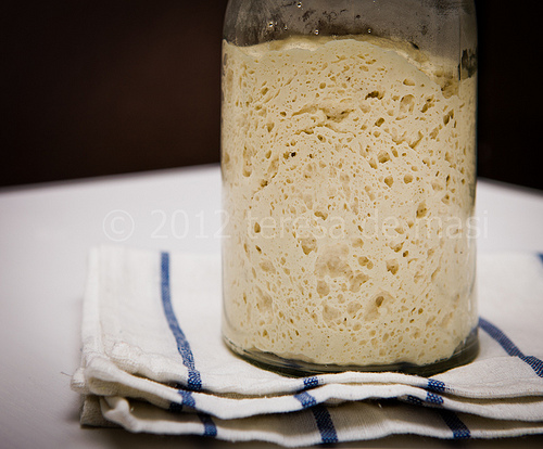 lievito madre, pasta madre, in forza