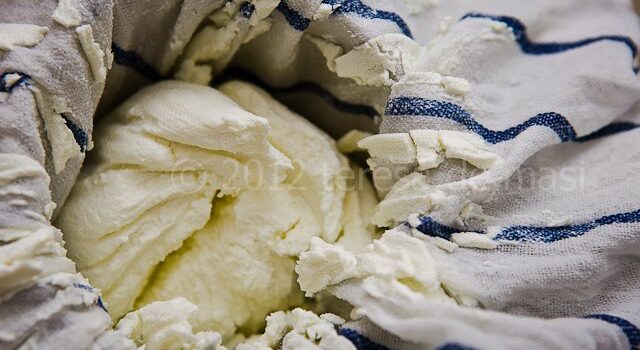 labneh