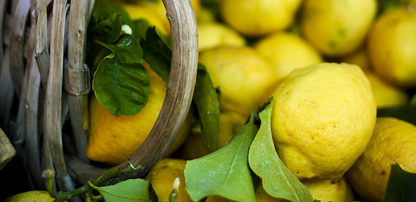 come preparare il limoncello