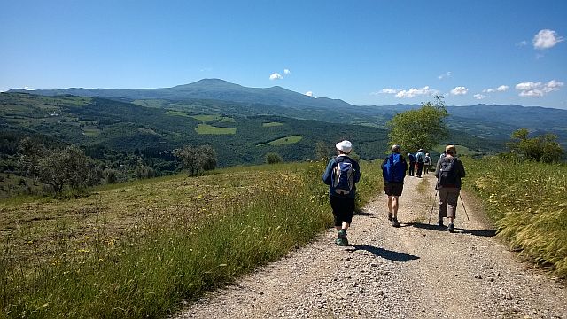 Domenica in Chianti