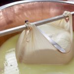 differenze tra parmigiano reggiano e grana padano