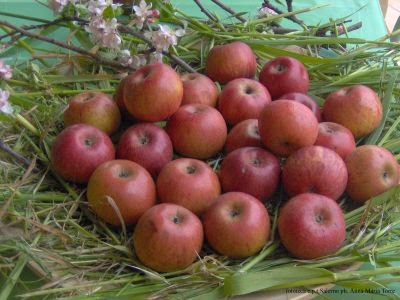 Mela annurca caramellata al forno